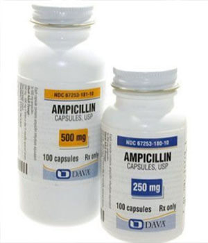 Shop Ampicillin (Principen) 500mg  x 1's-Online at  Xanax 1mg Online Pharmacy